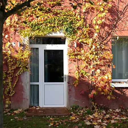 Villa Aura-2