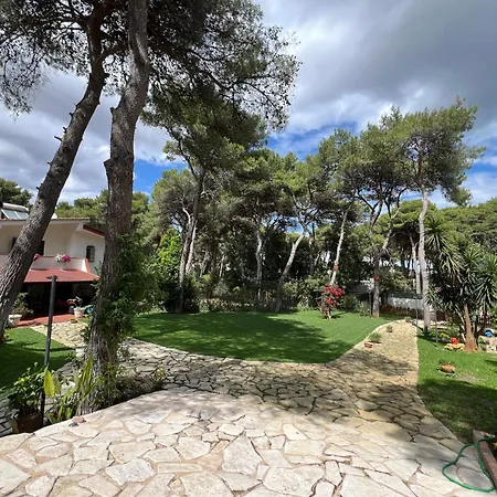 Bungalow Fatamorgana-2