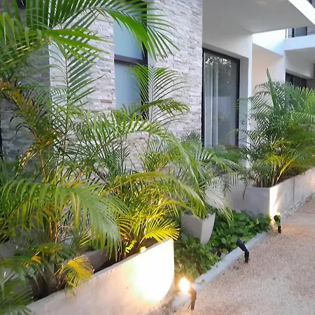 Yaax Kiin Tulum-2