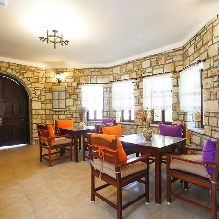 Sahin Villa Apart-3