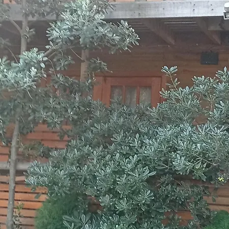 La Maison des Fous-2