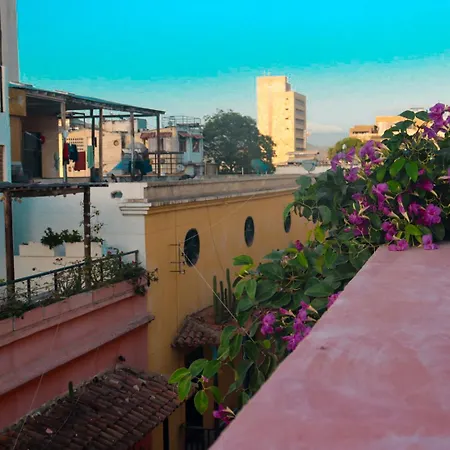 Casa Rosa - Alma Hotels-2