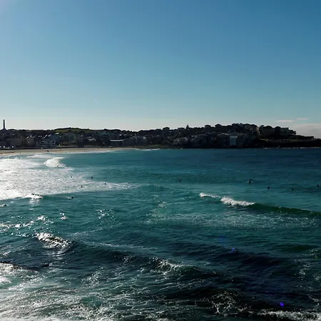 Qt Bondi-3