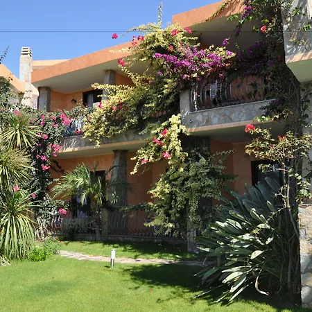 Palm Village-3