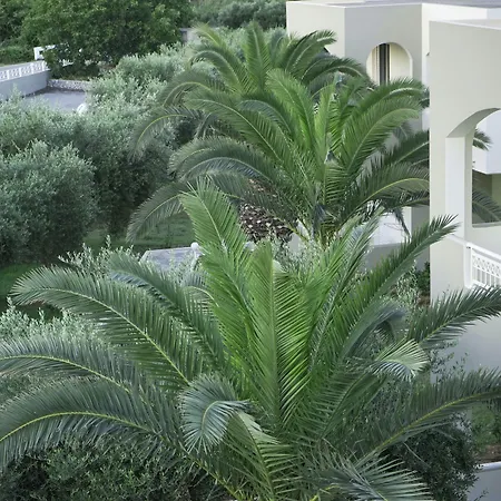 Vardis Olive Garden-2