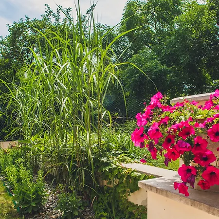 4Seasons﻿ Apartments Cracow-2