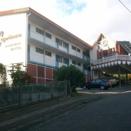 Capricorn Hotel Suva-3