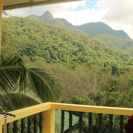 Island Lodge-2