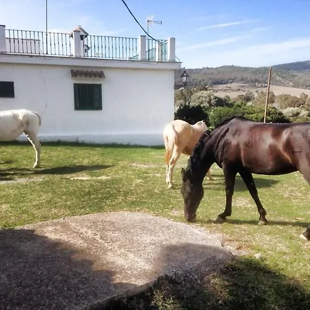 Hotel-Apart CORTIJO LAS PIÑAS-2