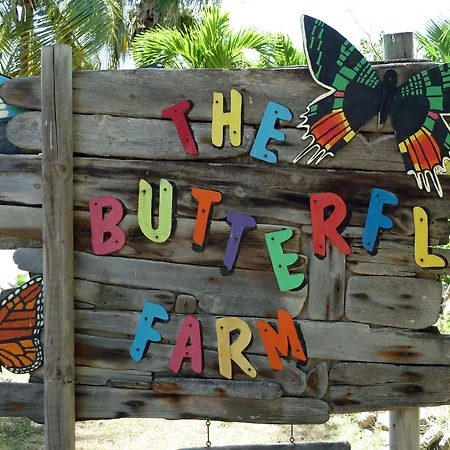 Bubali Bliss Studios & Villas-2