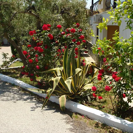 Asteris Village-3