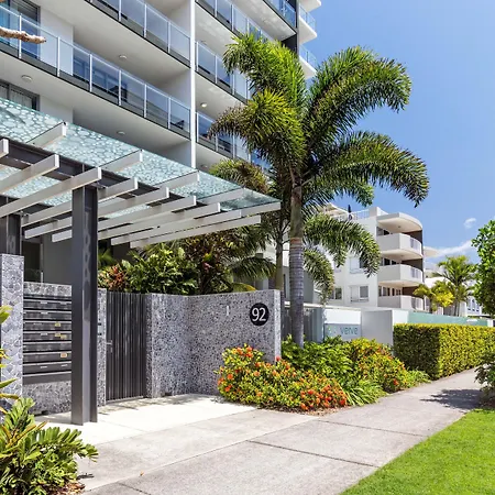 Verve On Cotton Tree-2