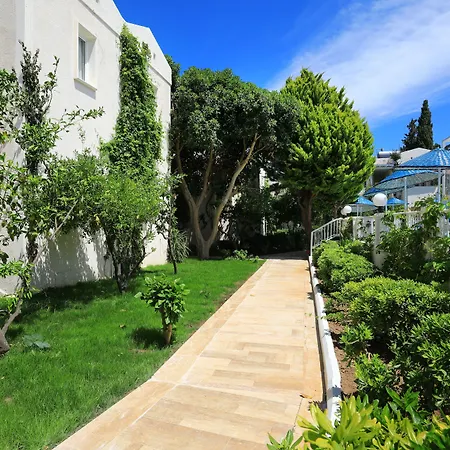 Summer Garden Suites Beach Hotel-2