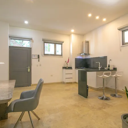 El Cactus Luxury Apartments In Historic Center-2