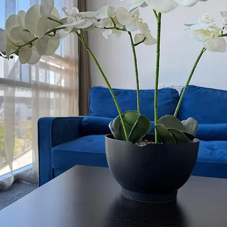 Quest Henderson, Auckland Apartment Hotel-3