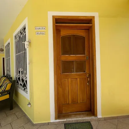 Celeste Vida-3