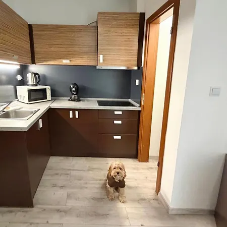 Prater Residence Apartment Budapest-2
