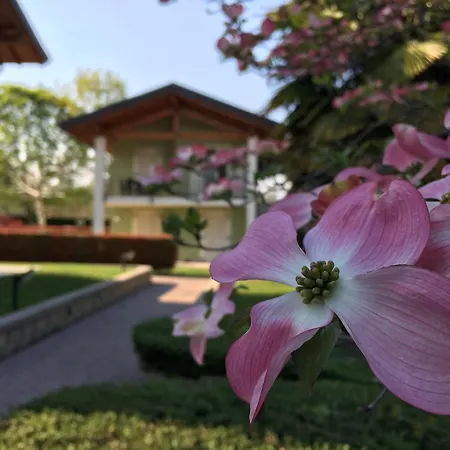 Residence Alice-2