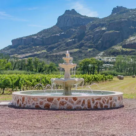 Domaine Les terres du soleil-3