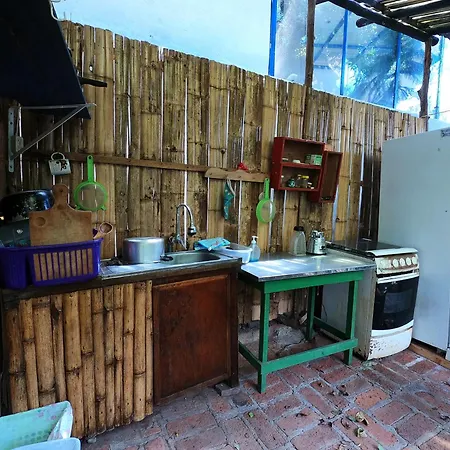 Le Petit Jardin-3