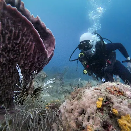 Ocean Lovers Taganga - Padi Dive Center & Hostel-2