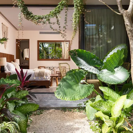 Mistiq Tulum-2