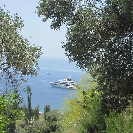 Kolios View Studios-2