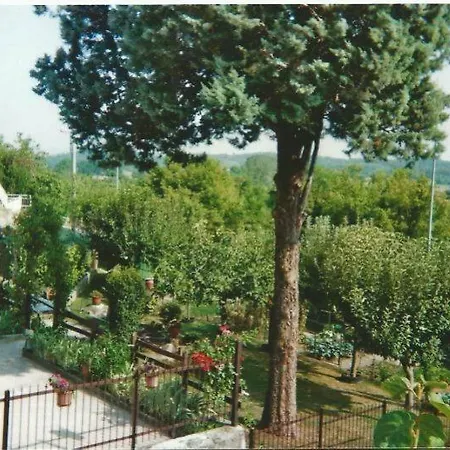 Residence Le Betulle Executive-2