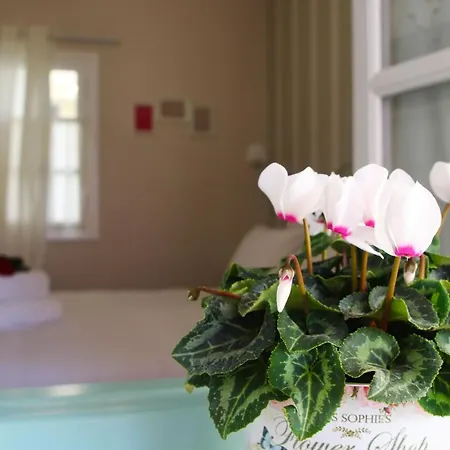 Sugar Home-2