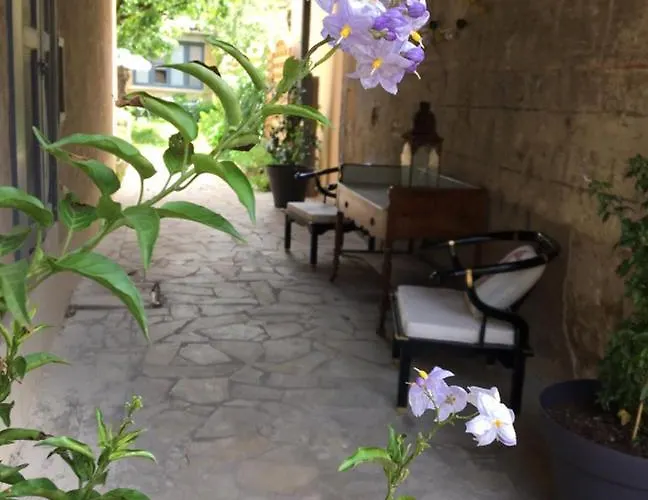 Un jardin en ville