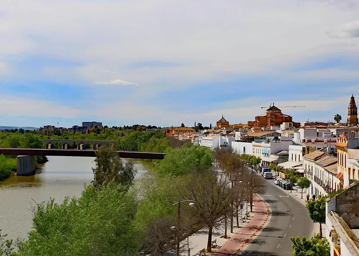 Ribera 19