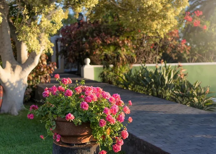 La Palma Jardin Resort El Paso