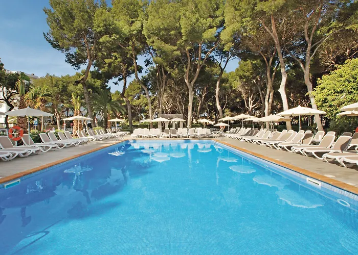 Hotel Riu Festival
