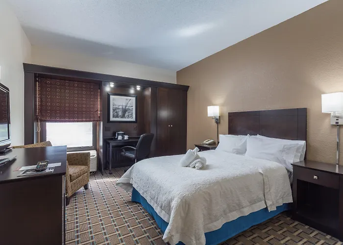 Hilton Tampa Airport Westshore