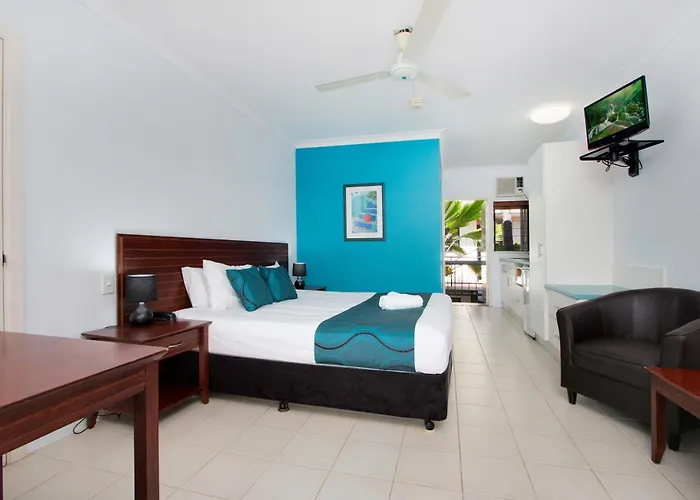 Cairns City Palms