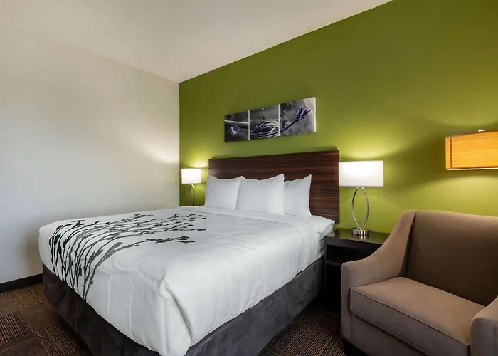 Sleep Inn & Suites Tampa South