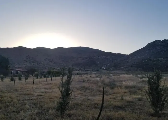 Los Laureles Ruta Del Vino Bc