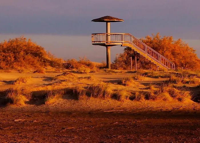 Hostal Restaurant Paca