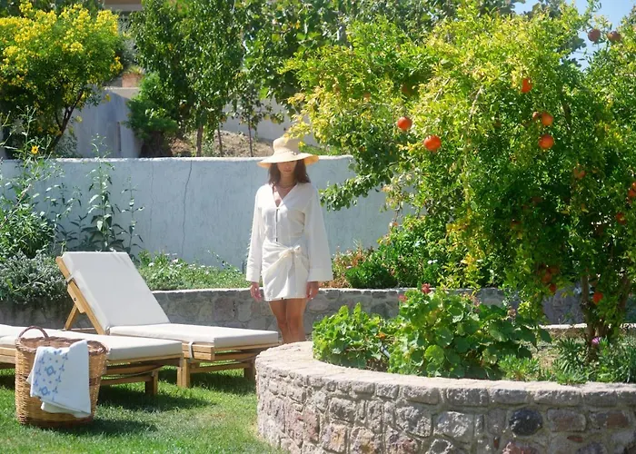 Little Bird Lesvos Aparthotel Petra 