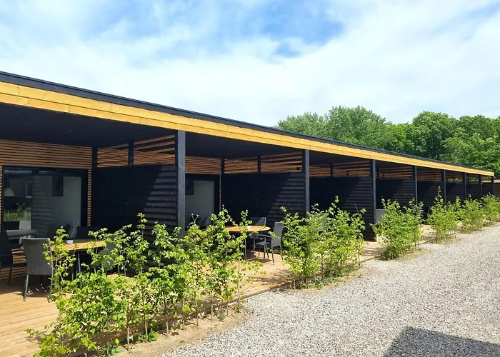 Randers City Camp
