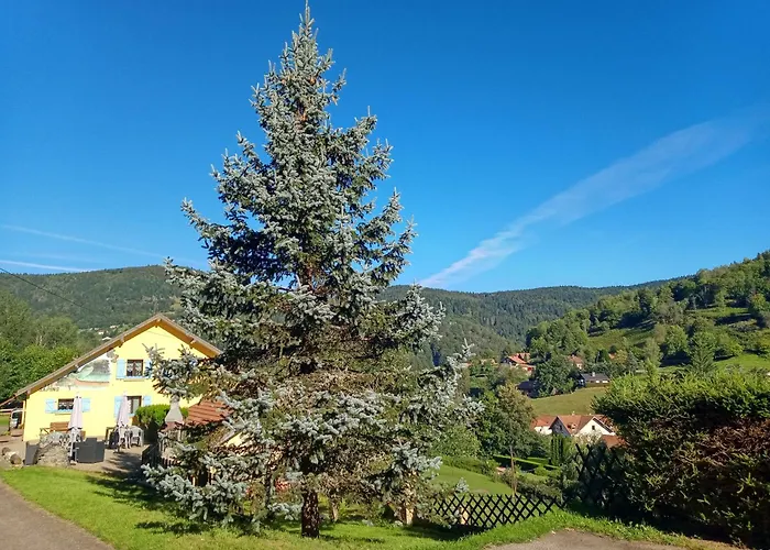 Les Sapins