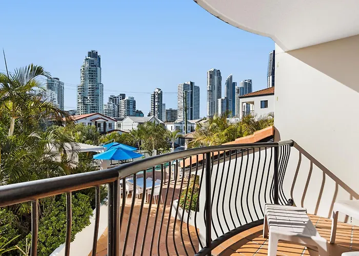 Chevron Palms By Premium