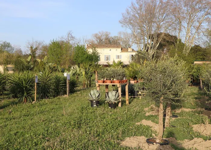 Mas des Cerisiers