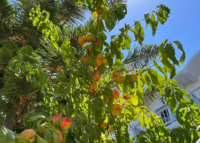 Theodorou Beach Apartments