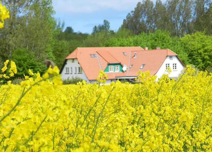 Landhaus Alt Reddevitz