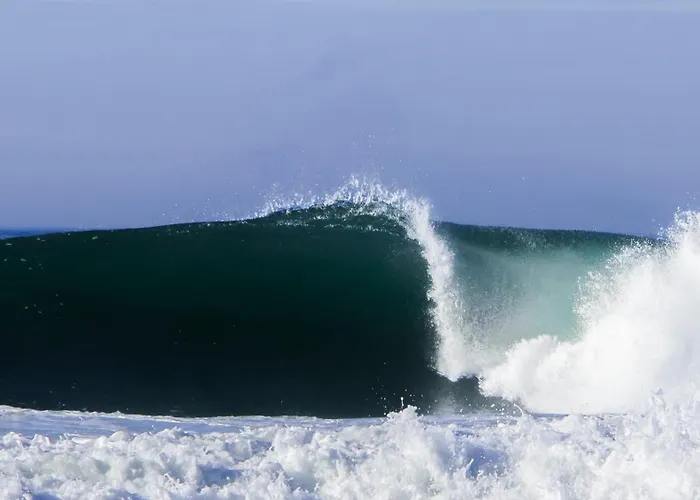 Résidence Hôtelière les Acanthes Soorts-Hossegor