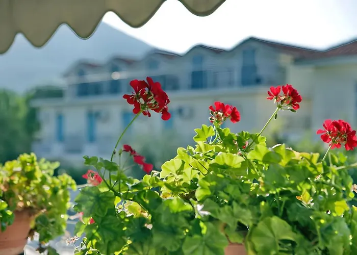 Theofilos Classic Hotel