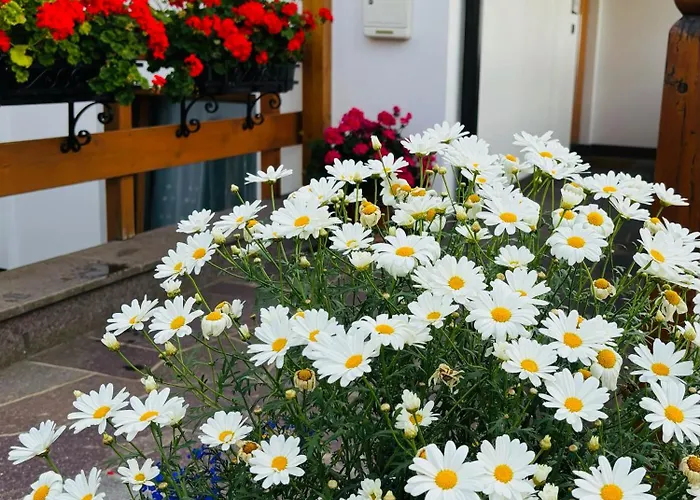 Residence Ravisa Dolomites
