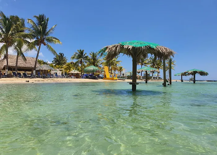 Las Palmas Joliet Corozal 