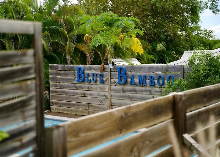 The Bluebamboo